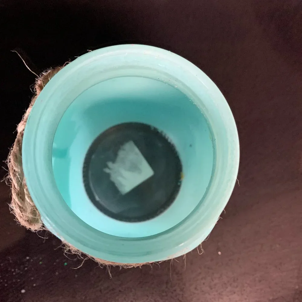 Blue Bunny glass jar